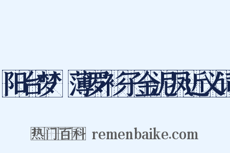 阳台梦·薄罗衫子金泥凤近义词是什么意思的图片